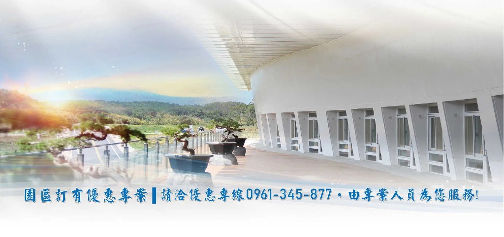 Professional Consulting